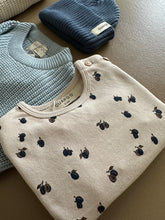 Load image into Gallery viewer, Guapoo - 衛衣 Mini Plums (現貨)