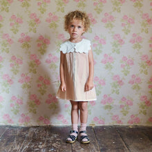 Load image into Gallery viewer, Little Cotton Clothes - Hannah Dress in powder (2Y-6Y)