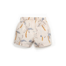 將圖片載入圖庫檢視器 Play Up - 泳褲 (棕櫚樹)