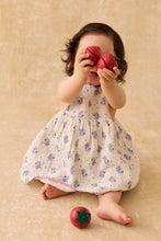 Load image into Gallery viewer, Louise Misha - Dress Aloisa (Cream Flower Dunes) 24M