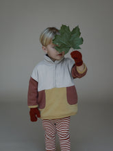 Load image into Gallery viewer, Organic Zoo - Color Block Sweater
