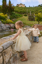 Load image into Gallery viewer, Jamie Kay - Adalyn Dress (Lemon) 1-3Y