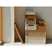 Load image into Gallery viewer, Liewood - Weston Storage Box L