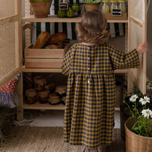 將圖片載入圖庫檢視器 Organic Zoo - 裙子 (Blueberry Gingham)