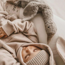 Load image into Gallery viewer, Senger Naturwelt - Grey Goose (小)