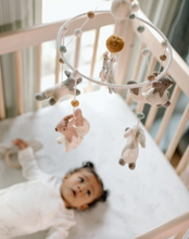 Load image into Gallery viewer, Pehr - Classic Mobile (Field of Dreams)