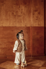 Load image into Gallery viewer, Binibamba - 美利奴羊毛背心 (咖啡色)