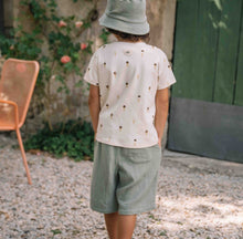 Load image into Gallery viewer, Studio Boheme - Basile Bermuda (Green Grey)