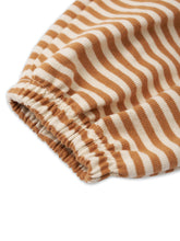 Load image into Gallery viewer, Organic Zoo - Copper Stripes Pants
