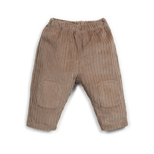 Brown corduroy pants on a white background