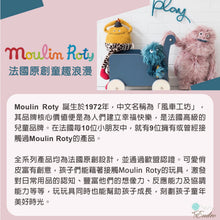 Load image into Gallery viewer, Moulin Roty - 故事書手電筒豪華組 - 小小舞蹈學校
