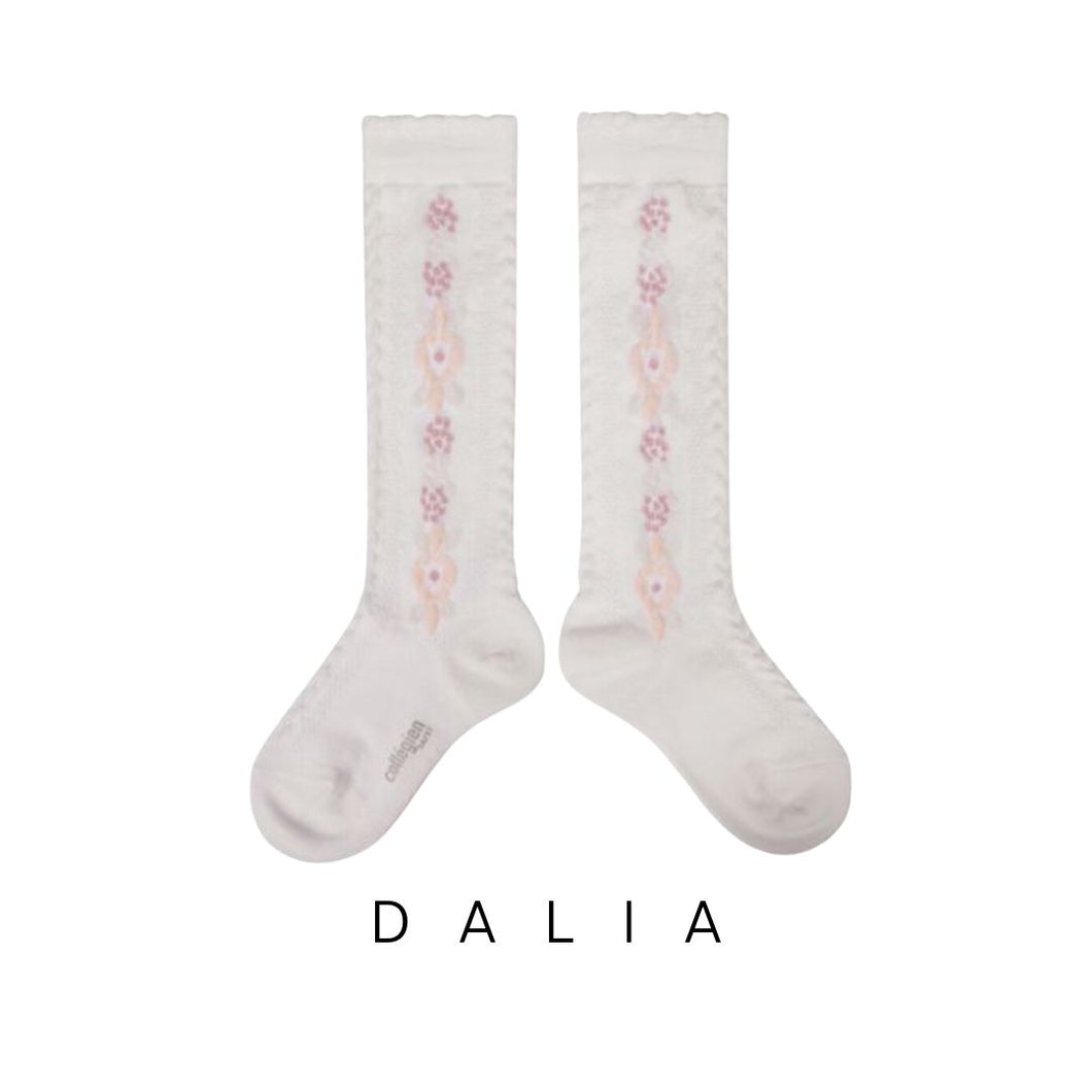 Collegien | Dalia - Flower Knee-high Socks (Snow)