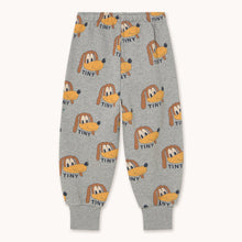 Load image into Gallery viewer, Tiny Cottons - 運動褲 (Dogs) guy
