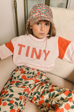 Load image into Gallery viewer, Tiny Cottons -Tiny Color Block Sweatshirt
