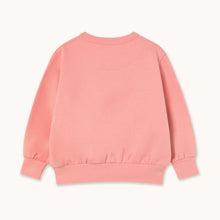 Load image into Gallery viewer, Tiny Cottons - Worm Graphic Sweatshirt
