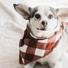 Load image into Gallery viewer, 🎄 Bencer and Hazelnut - Dog Bandana - Gingham
