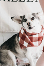 Load image into Gallery viewer, 🎄 Bencer and Hazelnut - Dog Bandana - Gingham
