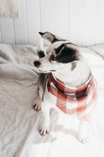 Load image into Gallery viewer, 🎄 Bencer and Hazelnut - Dog Bandana - Gingham
