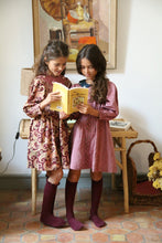 Load image into Gallery viewer, Bonjour Diary - Embroidered Dress Red Chambray 2Y-8Y
