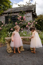 Load image into Gallery viewer, Jamie Kay - 澎澎裙 (Petit Heart Rose)
