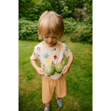 Load image into Gallery viewer, Liewood - Apia Placement Shortsleeve T-shirt (Fruit)
