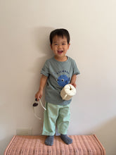 Load image into Gallery viewer, Nixnut - Stic Pants (Apple Checkered)
