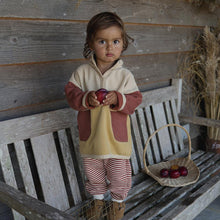 Load image into Gallery viewer, Organic Zoo - Colour Block Sweater 2-3Y

