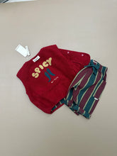 Load image into Gallery viewer, [預購] Guapoo - Reversible Fleece Vest Red
