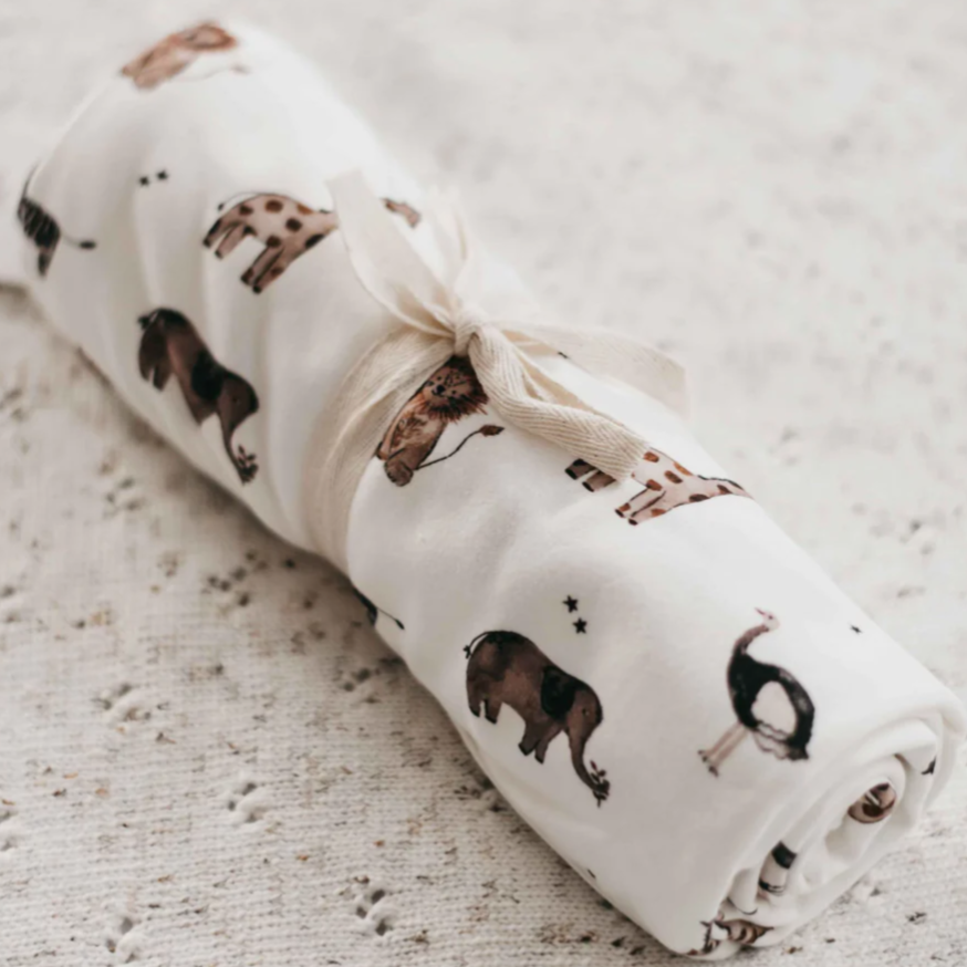 Paul Swaddle