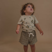 Load image into Gallery viewer, Organic Zoo - Olive Garden Classic T-Shirt
