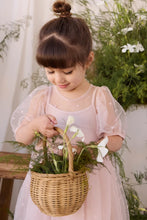Load image into Gallery viewer, [預購] Jamie Kay - Zoella Tulle Dress - Petite Heart Rosie
