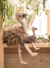 Load image into Gallery viewer, Eddie the Emu

